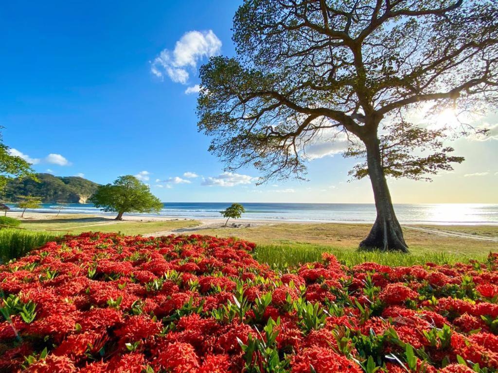 Mukul Resort Tola Luaran gambar
